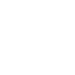 Professional Services