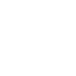 Laundry shop icon