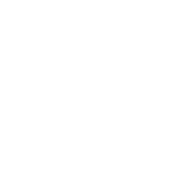 Dry cleaner icon