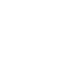 Laundry chain icon